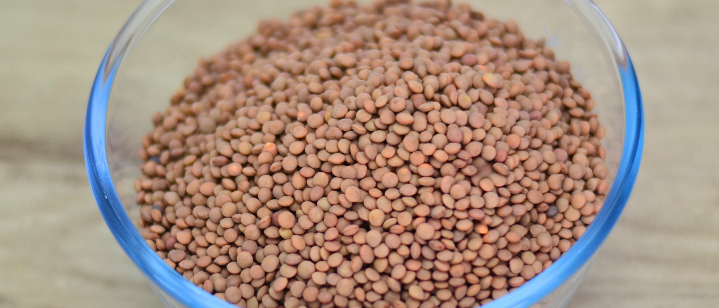 Beans, pulses & grains