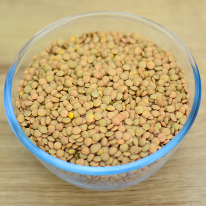 Organic Green Lentils